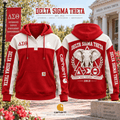 PREMIUM DST HOODIE COLOR BLOCK TTNL